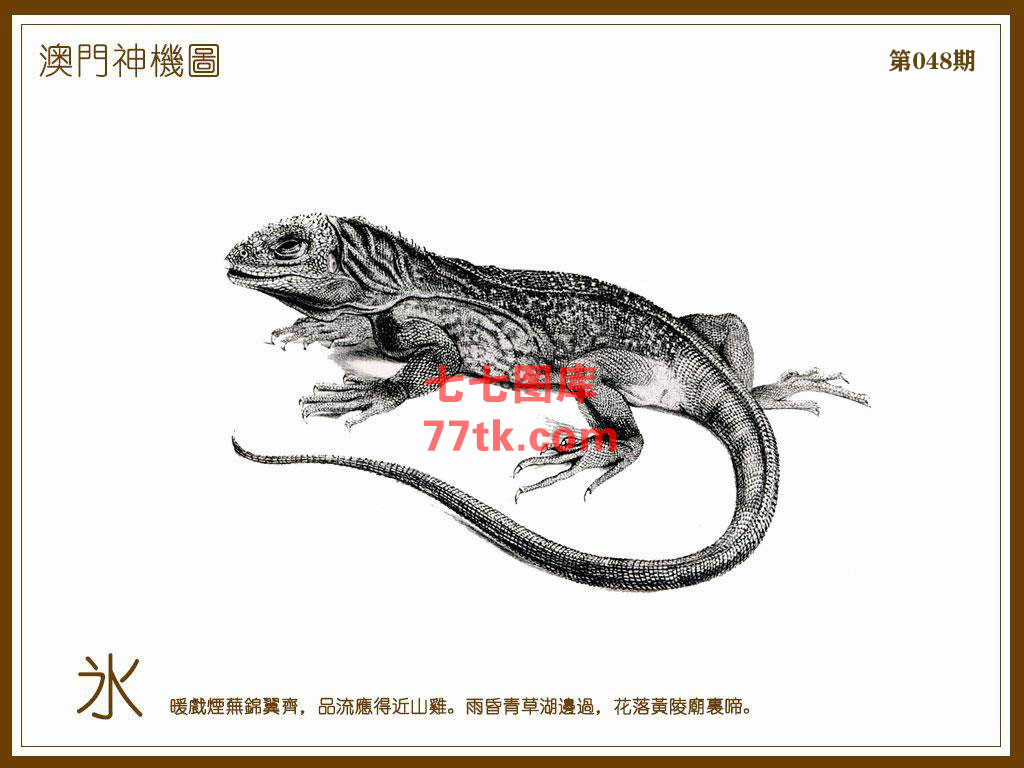 神机图 第48期