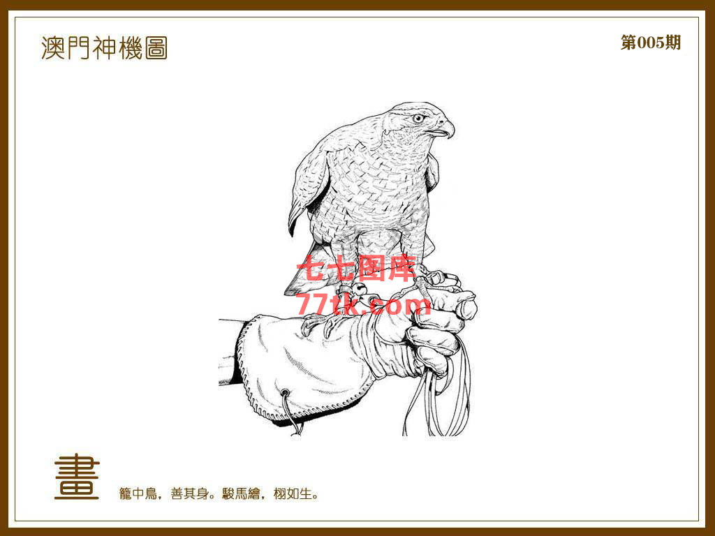 神机图 第5期