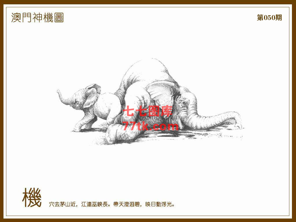 神机图 第50期