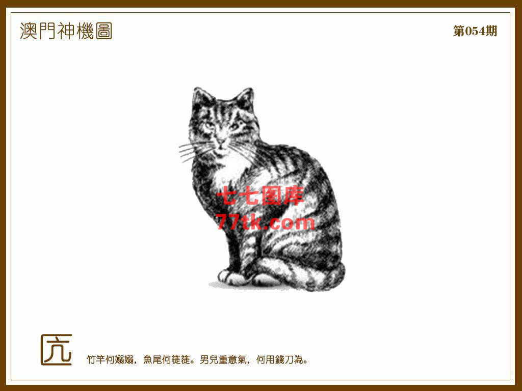 神机图 第54期