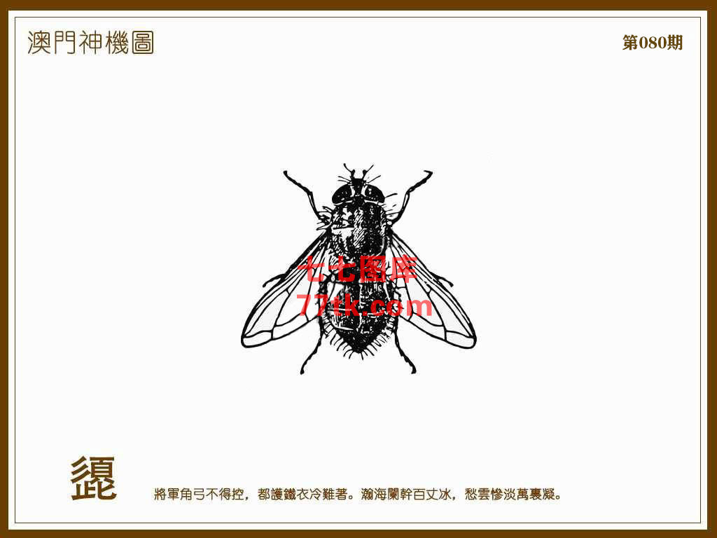 神机图 第80期
