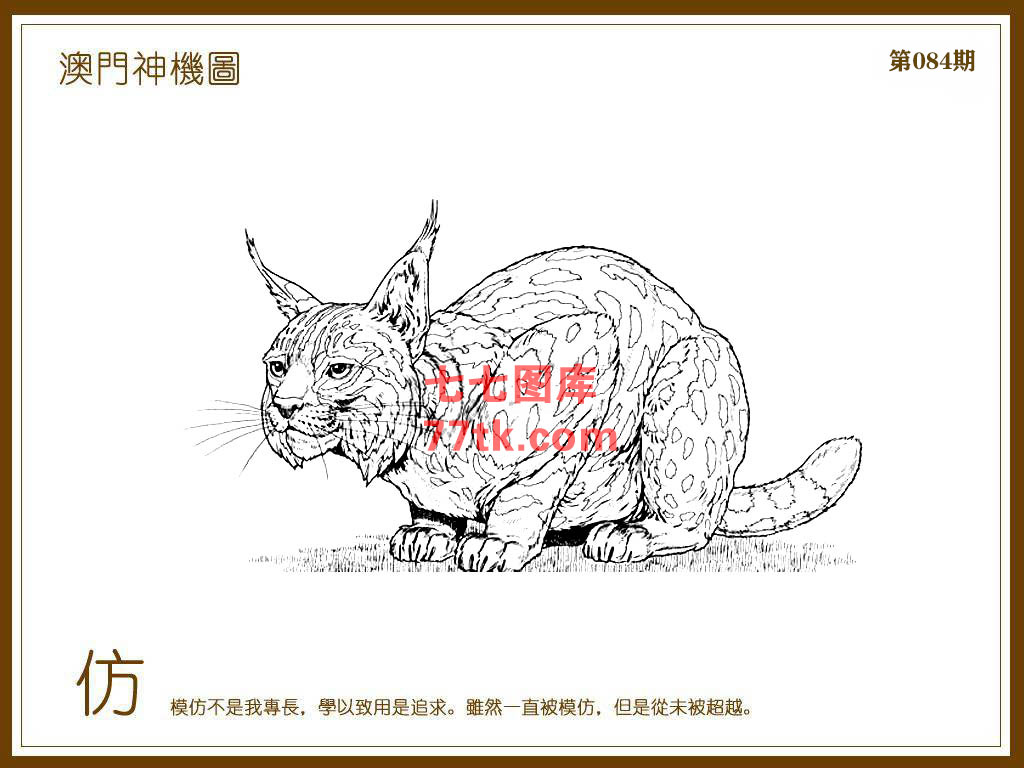 神机图 第84期